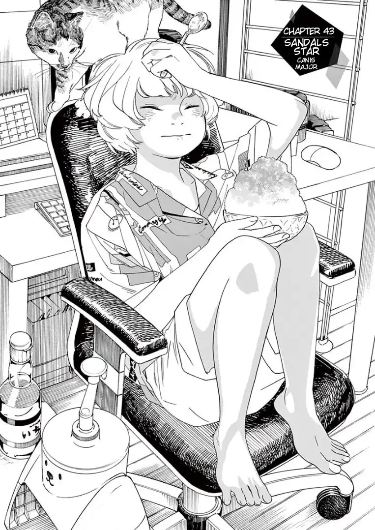 Kimi wa Houkago Insomnia Chapter 43 1